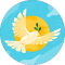 google profile photo